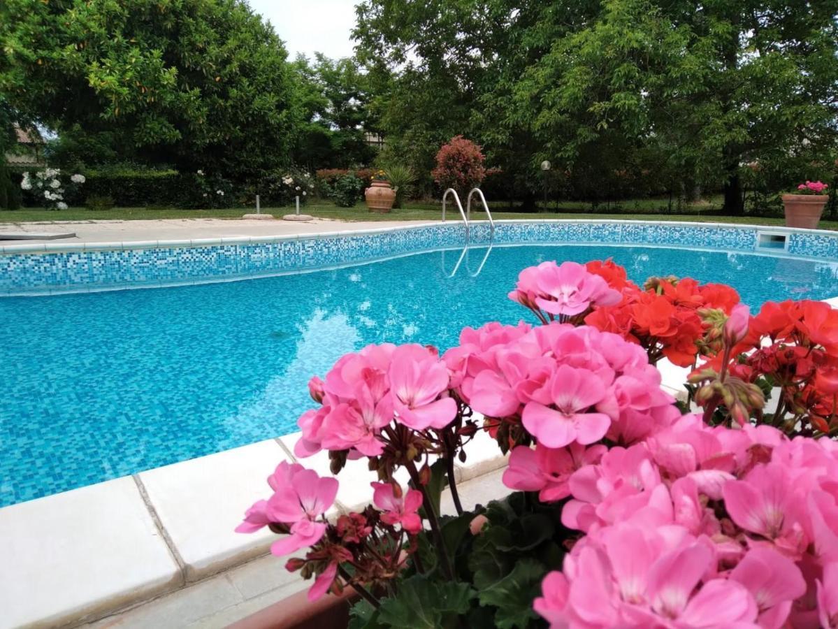 Agriturismo Le Chicche Di Mafalda Монтемерано Екстер'єр фото